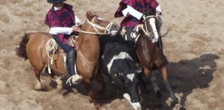 El Rodeo Chileno y el Maltrato Animal