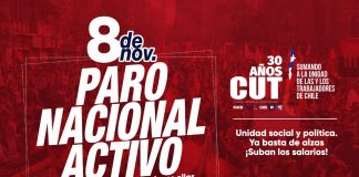 Los Profesores se Pliegan al Paro de la CUT