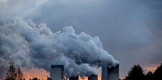 Desde la COP25 en Chile 2019