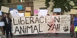 El Desafío Animalista del Progresismo Político Chileno