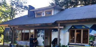 Sorpresas en Vacaciones: Neltume y la Memoria