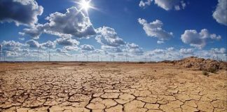 Hágase la COP25 en Chile