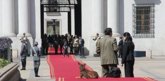 Gracias Presidente, Pero no Asistiré