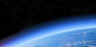 «Cada Hormiga es un Centauro en su Mundo de Dragones»