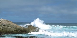 El Mar de Chile: Depredación y Abandono actual