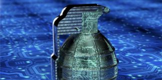 Cuando la Democracia se Debilita en la Red