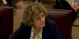 Luces y Sombras de Dobra Lusic