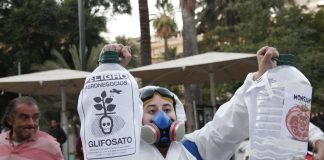 Progresismo y Medio Ambiente en Chile: Es Urgente un Giro Copernicano Hacia la Vida