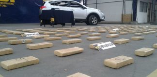 ¿Perdimos la Batalla contra el Narcotráfico?