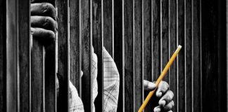 Nueva Ola Privatizadora Anti-Pública en Educación