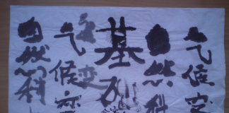 COP25 y La Razón Política