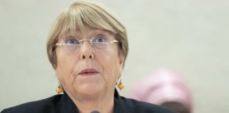 Gobierno: Pato Cojo Asustado