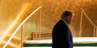 ¿ Goodbye Mister Trump ?