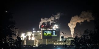 Greenpeace y Cancelación de la COP25: “Fue una Decisión Tomada a Puertas Cerradas”