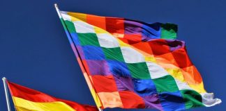 La Centroizquierda Chilena Condena Golpe de Estado en Bolivia