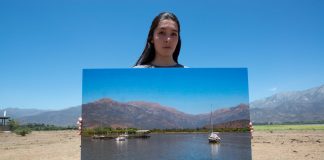 Lineamientos Ecológicos en la Nueva Constitución: ¿Cómo Responderá a las Demandas Ciudadanas en Materia Ambiental y Ecológica?