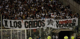 Atropello y Deceso de Hincha de Colo Colo: Club Social Exige Renuncia de General Rozas
