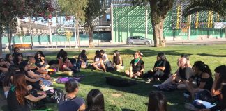 Feministas Copiapinas Conmemoran a Gloria Stockle Renombrando el Conocido Parque Schneider