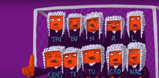 El rol del Tribunal Constitucional en la Nueva Constitución