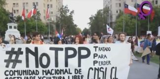 TPP-11 y la Soberanía de Mercado en Chile