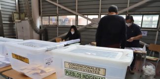 Constitucionales Independientes y de Pueblos Originarios: Protagonistas Inesperados como Actores de Veto