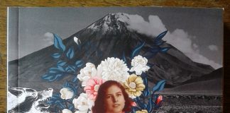 “La Bella Antonia”, Primera Novela Colectiva de Cuarentena