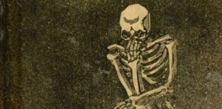 Renovación de la Desconfianza