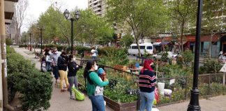 Santiago: Nuestros parques y Nuestras Calles