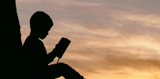 El Derecho de Elección de los Padres y el Mito de la Diversidad de Proyectos Educativos