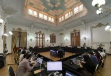 Estado Regional, Plurinacional e Intercultural Se Aprobó en Particular en la Comisión de Forma de Estado