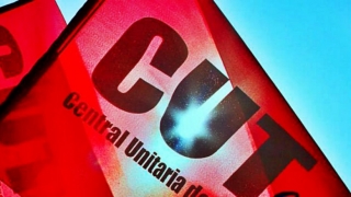 banderacut