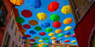 Las brechas que marcan distancias de género en la academia