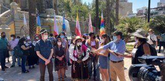 Las cifras de la Plurinacionalidad en Chile