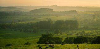 Habitar y compartir una nueva ruralidad