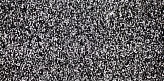 ¿Una ultraderecha preocupada de la transedad y la transespecie?