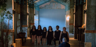 Regresa la gira Itinerancia de Territorio Teatral por la Región de Los Lagos