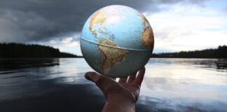 No mezclemos salmones con alerces