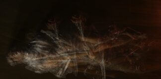 Obra inmersiva reflexiona en torno a los miedos de una generación de jóvenes heredados por la dictadura