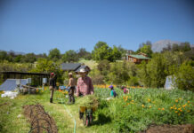 Colaborativa Las Palmas: Ejemplo comunitario en tiempos de inseguridad alimentaria