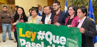 Bancada “Que Pase La Micro” anuncia ampliación de giro de EFE para operar microbuses en regiones