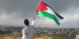 Genocidio Palestino