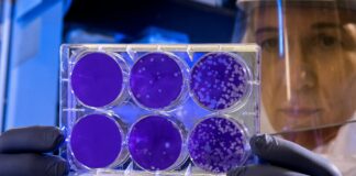 Brecha educativa y científica: Desafíos y propuestas para un Chile más equitativo