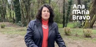 Diputada Ana María Bravo: “Si el Estado salvó Huachipato, cómo no vamos a salvar la Universidad Austral de Chile”