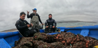 Racionalidad en la producción acuícola y un crecimiento realmente azul