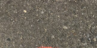 Reflexiones en torno a la aceptación y el orgullo