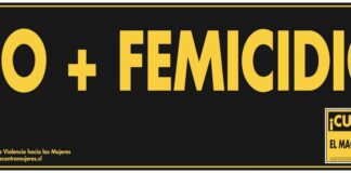 Violencia contra las Mujeres en Chile: Red Chilena lanzó Dossier Informativo 2023 – 2024