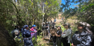 Importante alianza entre CONAF y Chilean Carbon Forum 2024