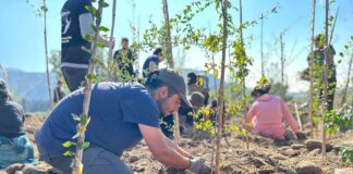 Nueva Jornada de Reforestación se realizará en el Humedal Mapocho Talagante