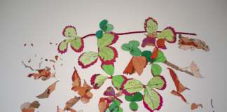 Mónica Bengoa y Pablo Ferrer inauguran exposiciones en la Posada del Corregidor