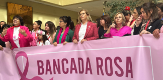 Parlamentarias conforman “Bancada Rosa” para abordar brechas en diagnóstico y tratamiento del cáncer en mujeres